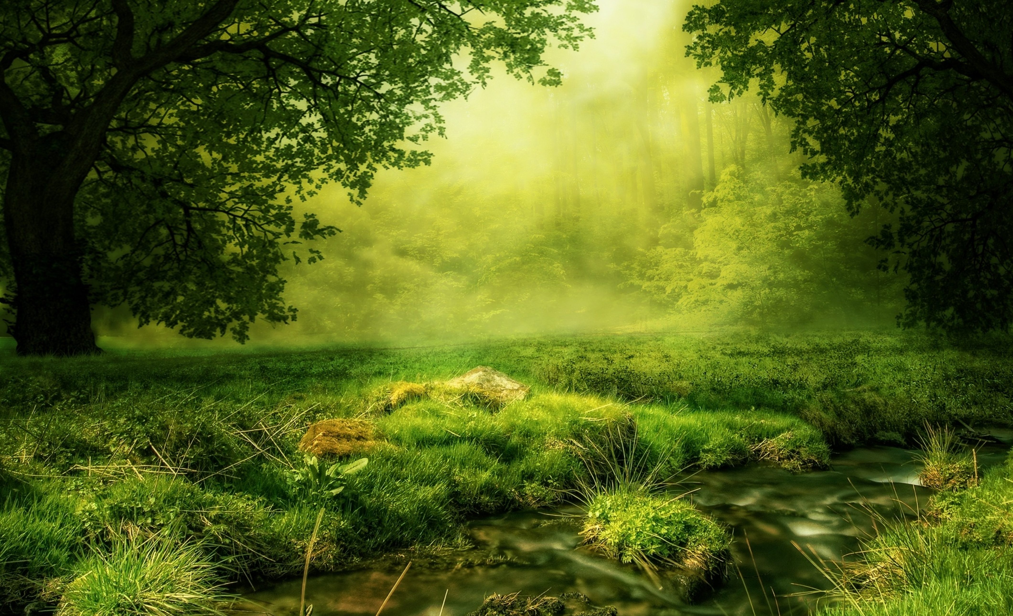 cropped-GreenGlade.jpg