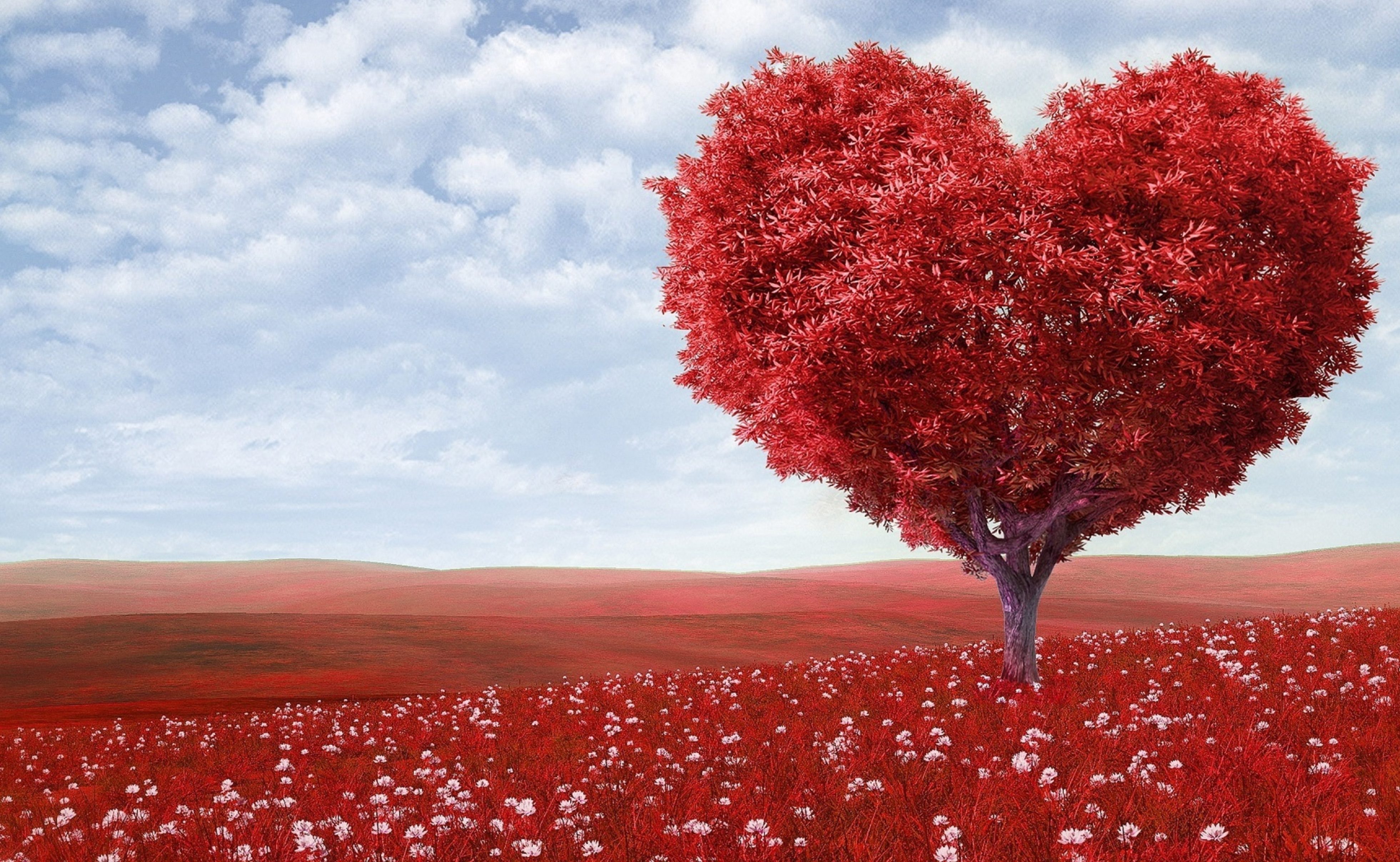 cropped-Love-2.jpg